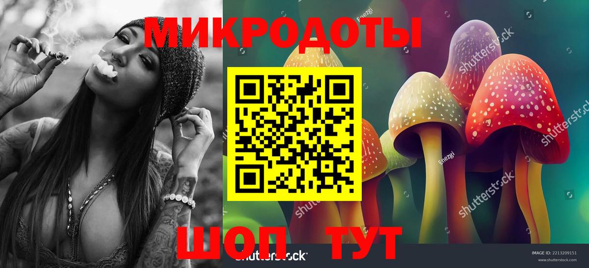 купить наркоту  Вход с VPN  Чита  Псилоцибиновые грибы Psilocybine cubensis 