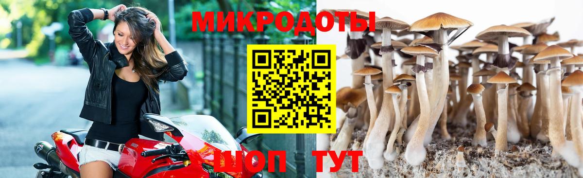Галлюциногенные грибы GOLDEN TEACHER Чита